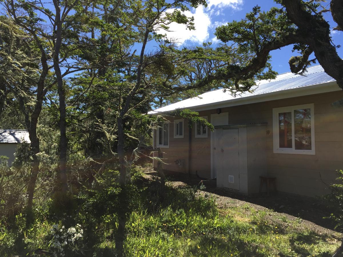 Cabanas Montes De La Patagonia Punta Arenas Ngoại thất bức ảnh